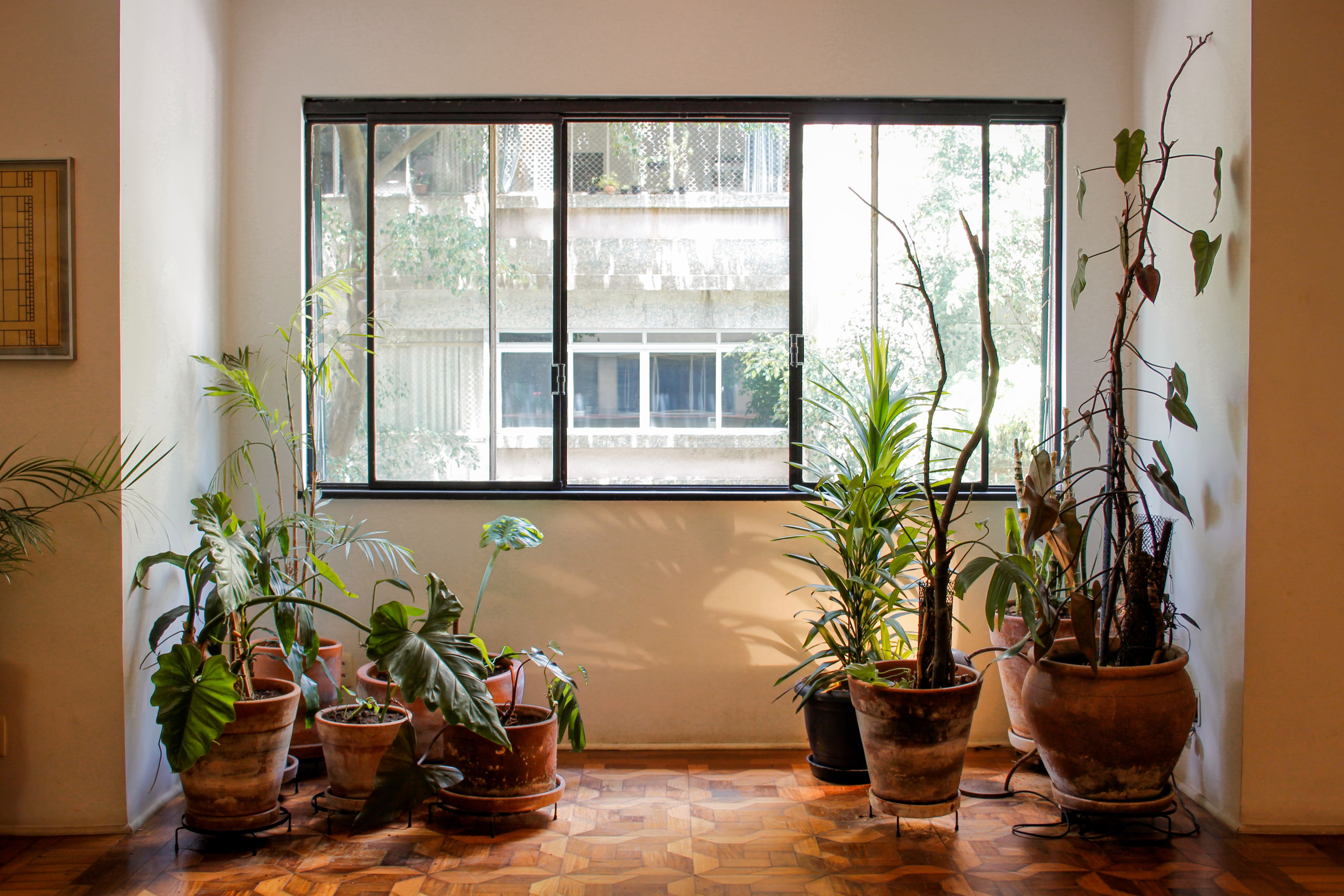 Nu Arquitetura Apartamento Cesário Mota Foto João Paulo Prado